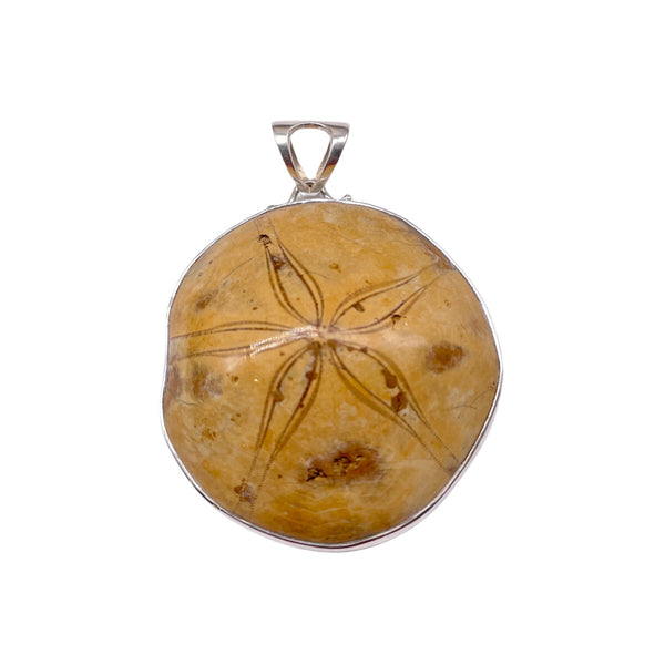 Fossilized Sand Dollar Pendant