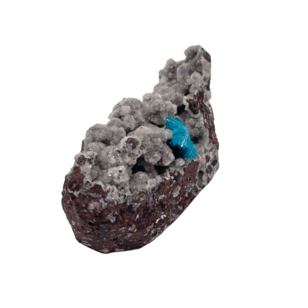 Cavansite on Stilbite - 2.5 oz