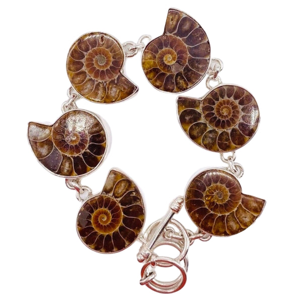 Ammonite BRACELET