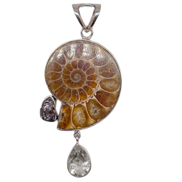 Ammonite pendant