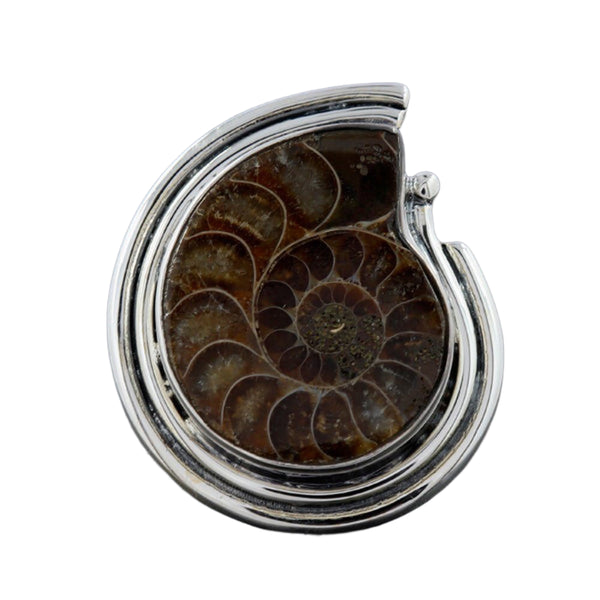 AMMONITE RING