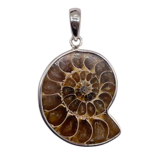 Ammonite pendant