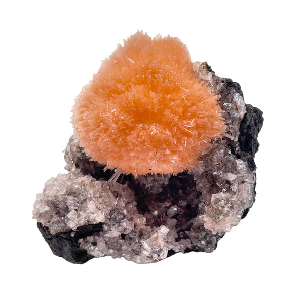 Thomsonite on Black Volcanic Rock - 4.2 oz