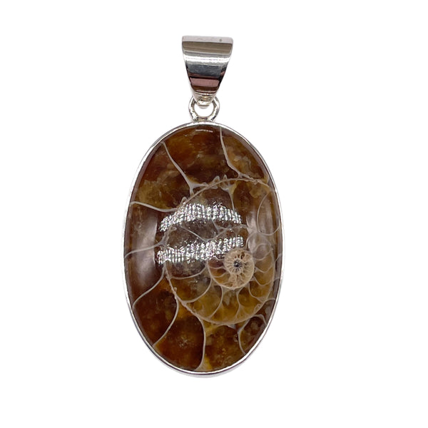 Ammonite pendant