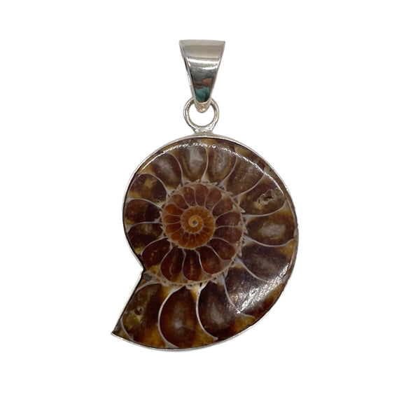 Ammonite Pendant