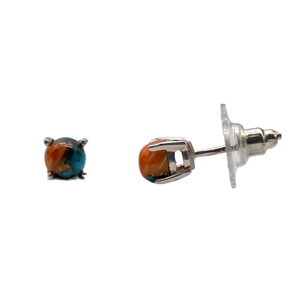 Turquoise Spiny Oyster Round Studs