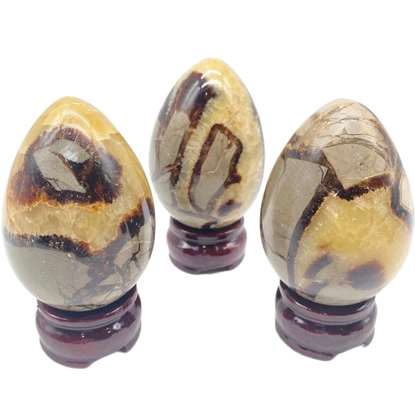 Septarian egg (per piece)