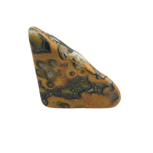 Bumblebee Jasper Freeform