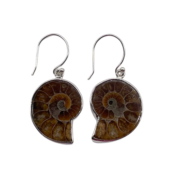 Ammonite Dangle Earrings