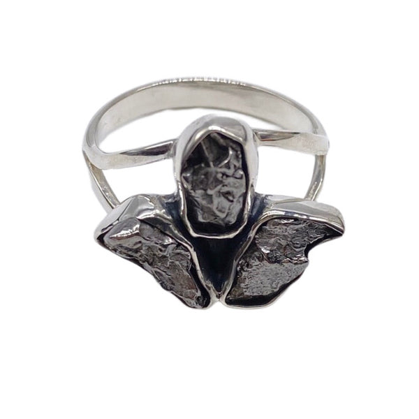 METEORITE RING