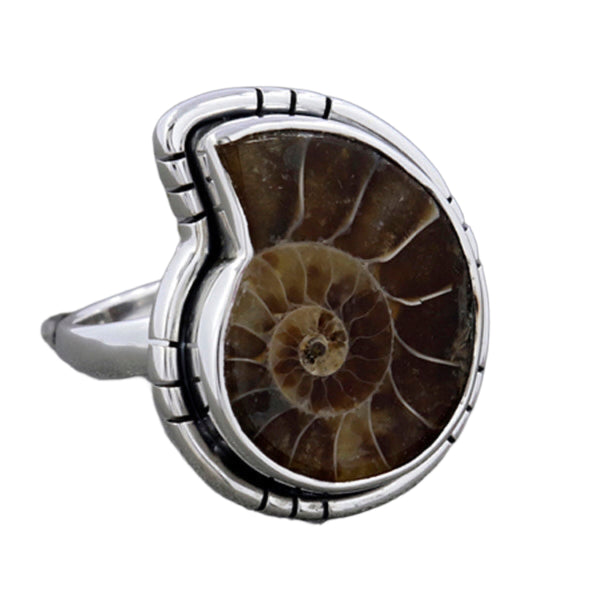 Ammonite Ring