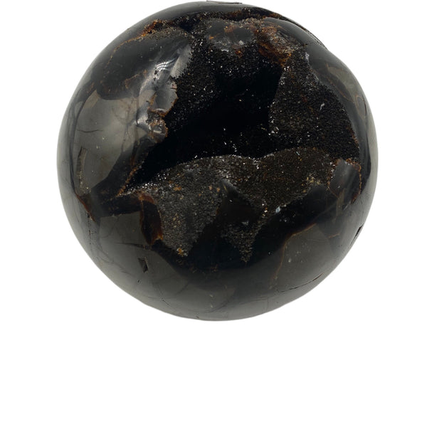 Dragon Septarian geode
