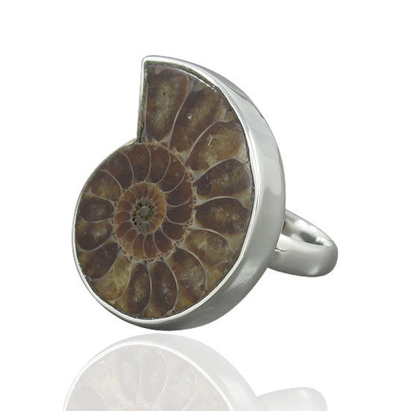 Ammonite Ring