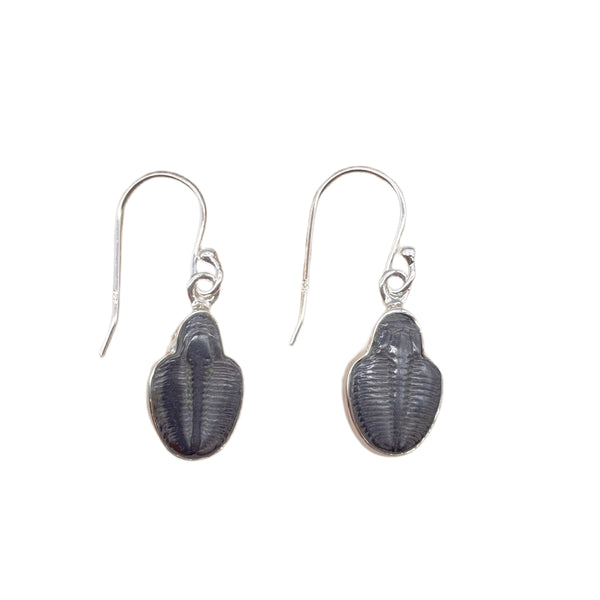 Trilobite Fossil Earrings