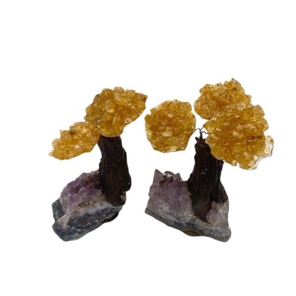 Citrine cluster tree (per piece)