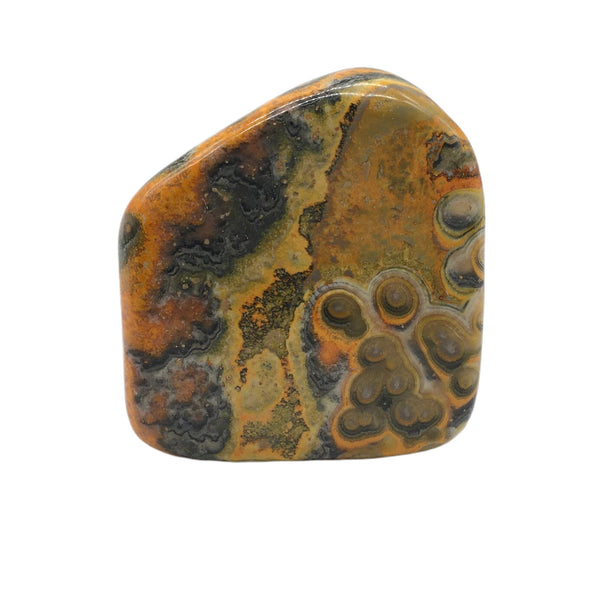 Bumblebee Jasper Freeform