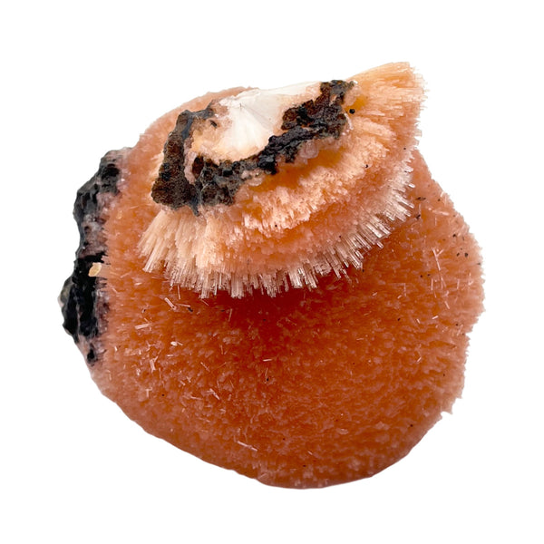 Thomsonite on Black Volcanic Rock - 5.8 oz