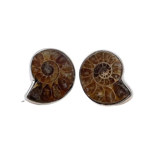 Ammonite Fossil Studs