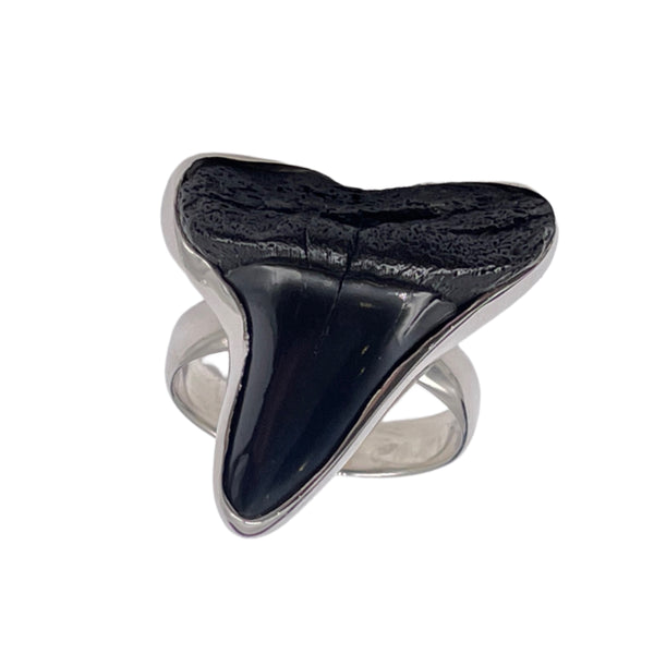 Shark Tooth ring