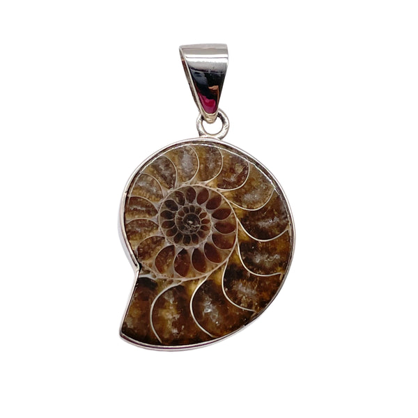 Ammonite Pendant