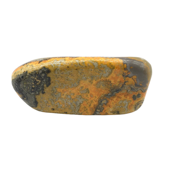 Bumblebee Jasper Freeform