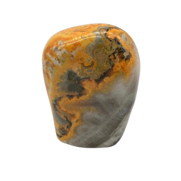 Bumbled Bee Jasper Freeform(5)