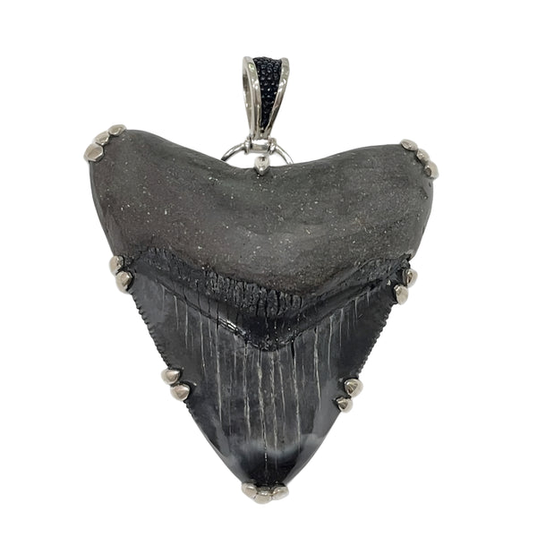 Shark Tooth Pendant