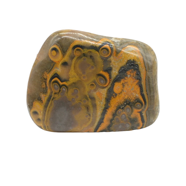 Bumblebee Jasper Freeform