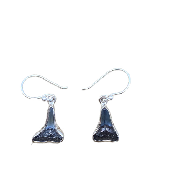 Shark Teeth Earrings