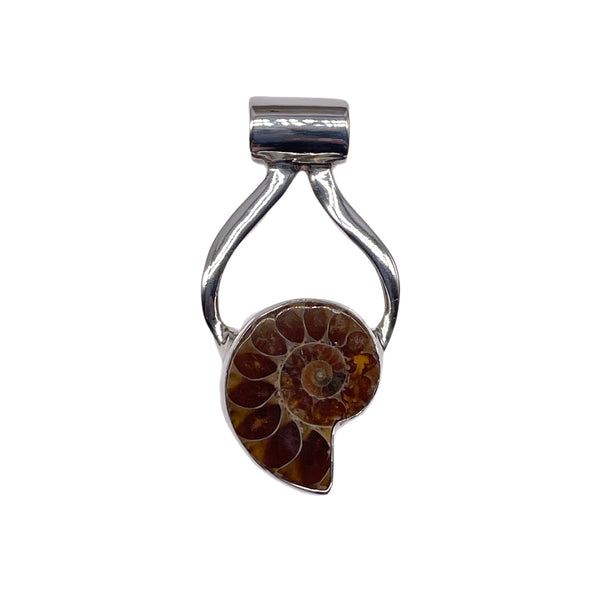 Ammonite pendant