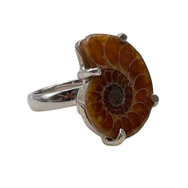 Ammonite Ring