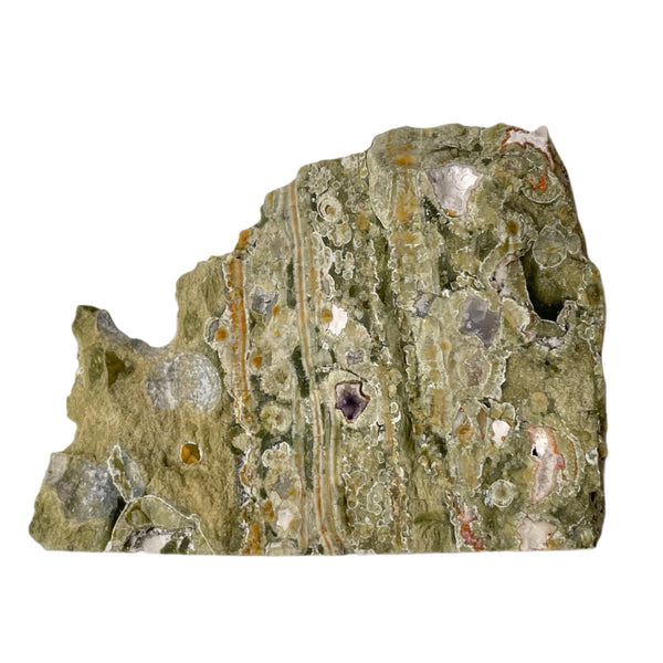 RainForest Jasper Stone