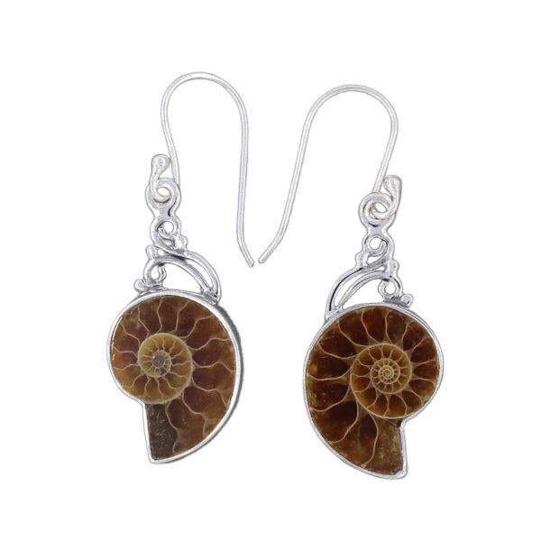 Ammonite Earrings