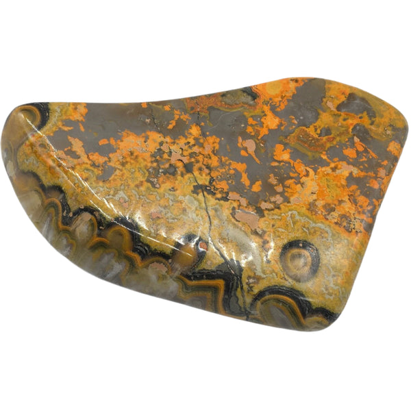 Bumblebee Jasper Freeform