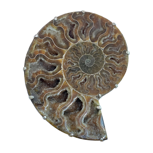 Ammonite Pendant