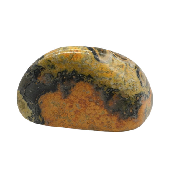 Bumblebee Jasper Freeform