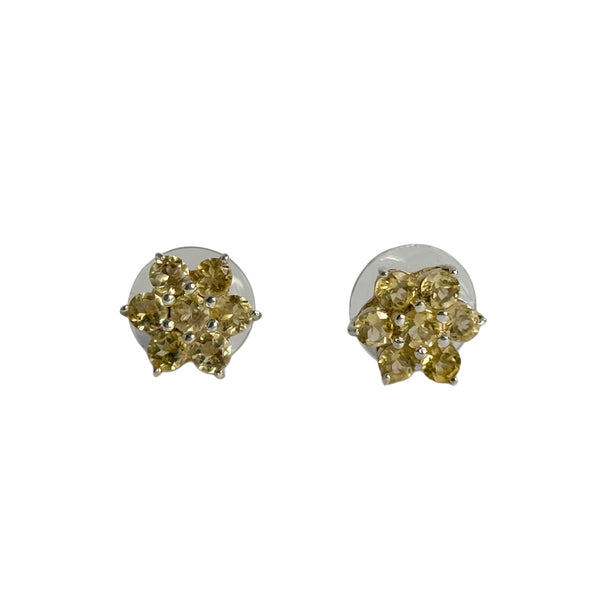 Citrine Studs