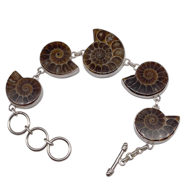 Ammonite Bracelet