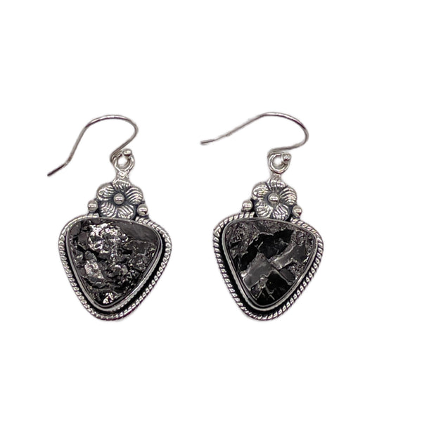 Shungite Earrings