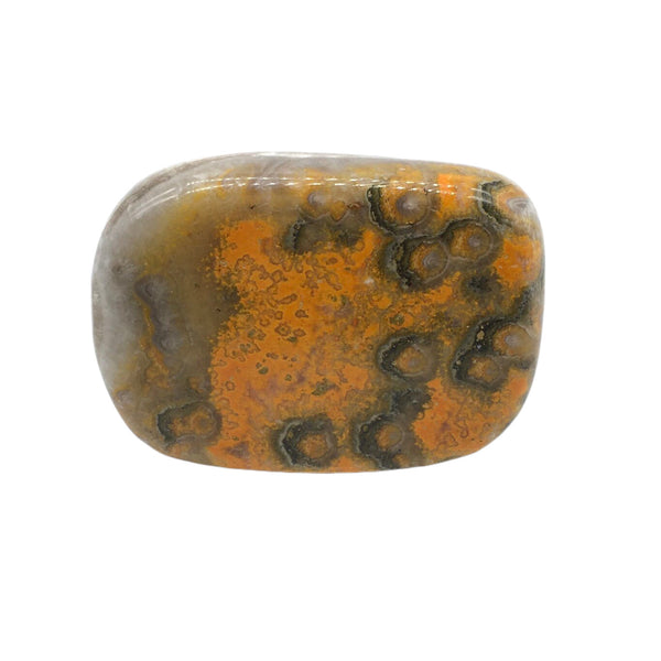 Bumblebee Jasper Freeform