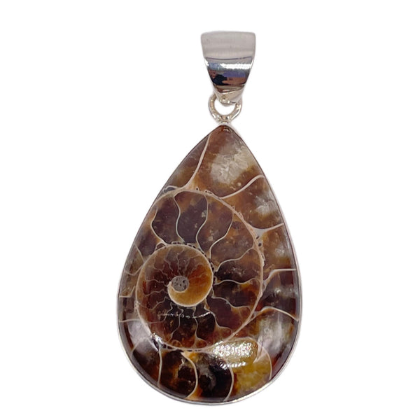 Ammonite pendant