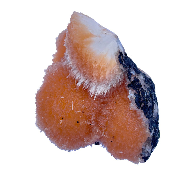 Thomsonite on Black Volcanic Rock - 3.3 oz