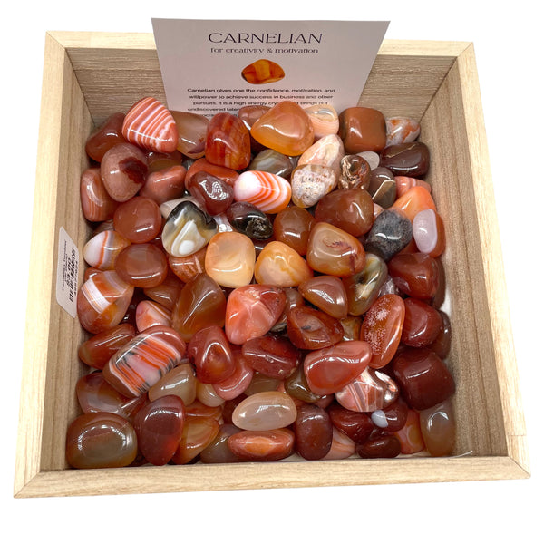 Carnelian Tumble( per piece)