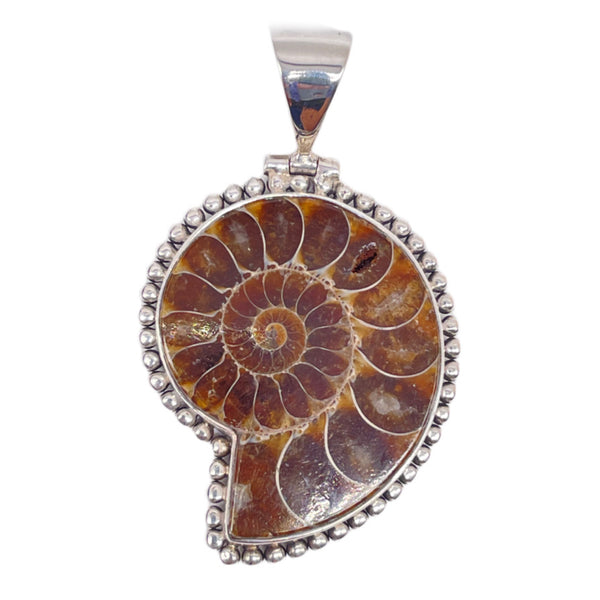 Ammonite pendant