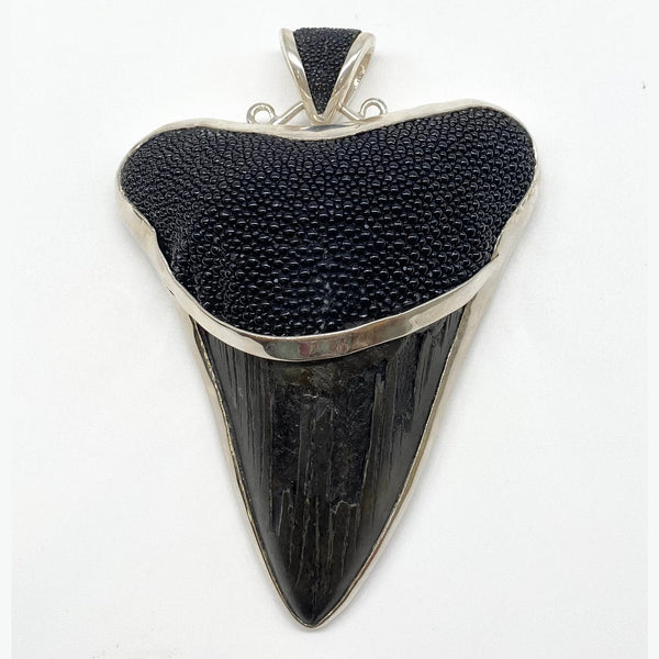 Shark teeth pendant Large