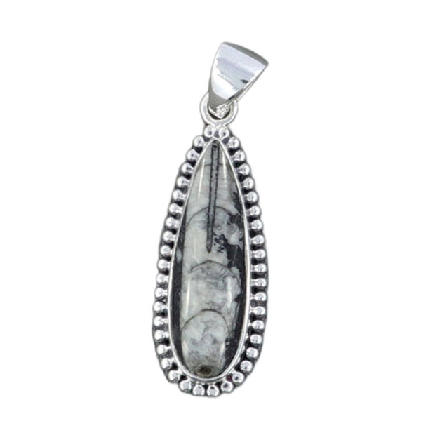 Orthoceras Pendant