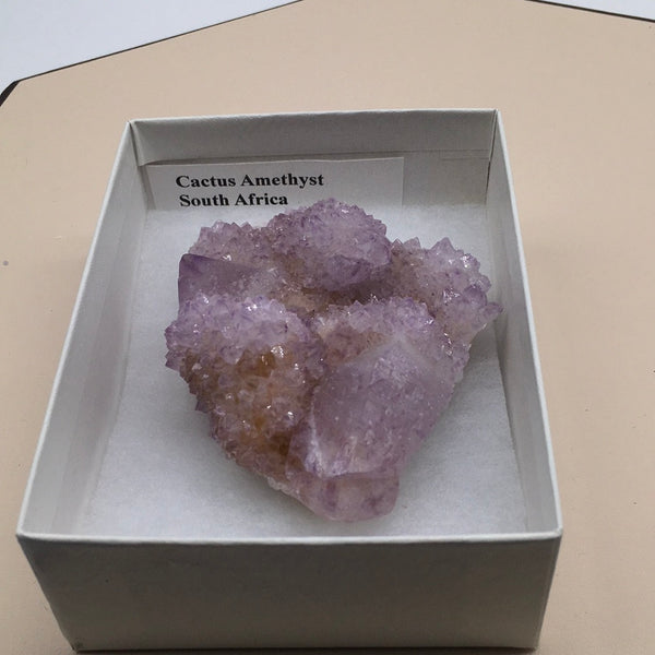 Cactus Amethyst Mineral