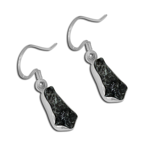 Meteorite Earrings