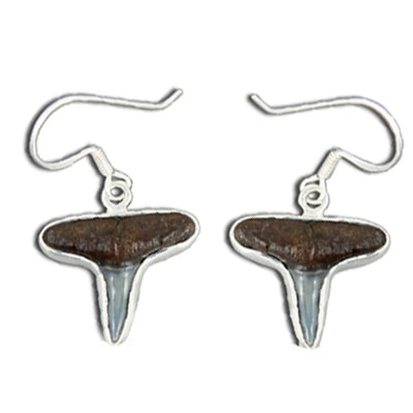 Shark Teeth Earrings