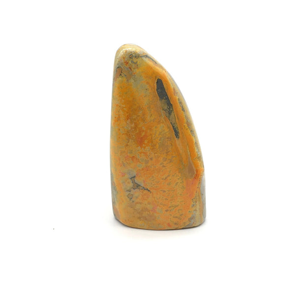 Bumblebee Jasper Freeform